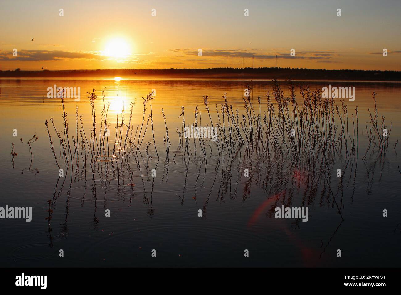 Beautiful orange sunset over river Stock Photo - Alamy