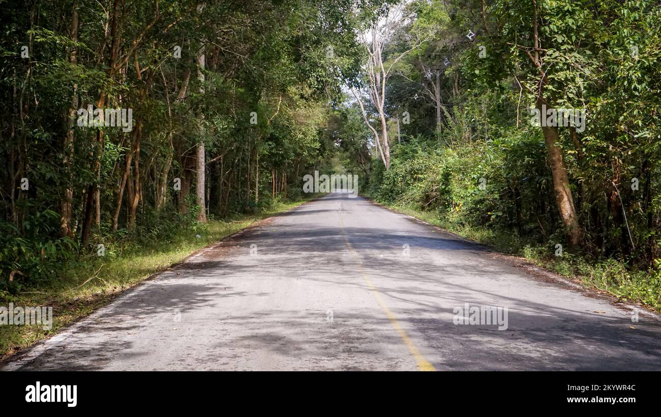 Country roads with natural roadside trees make energy work well. Stock Photo