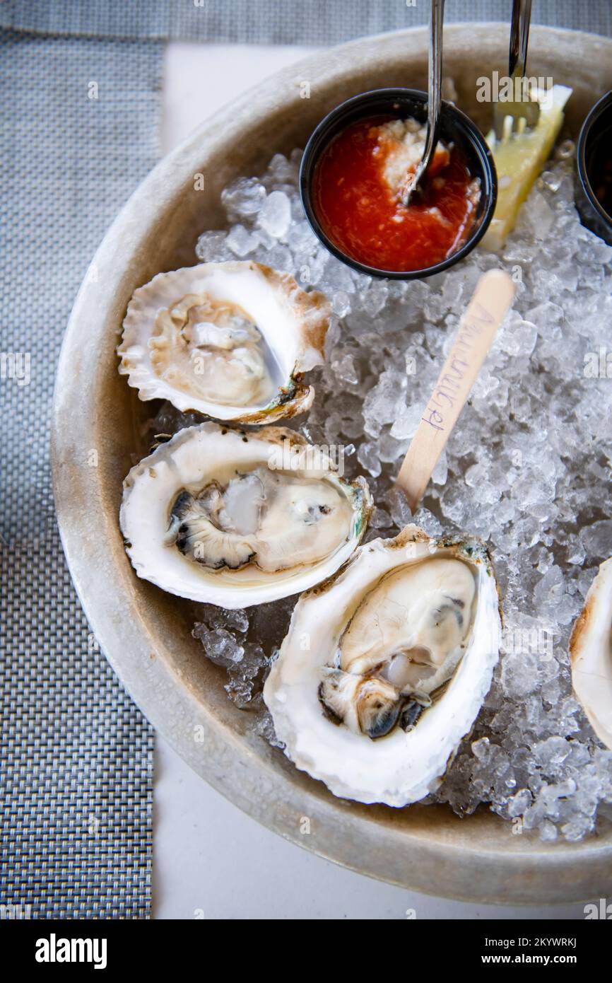 Oysters on the half shell marked with their farm location Stock Photo