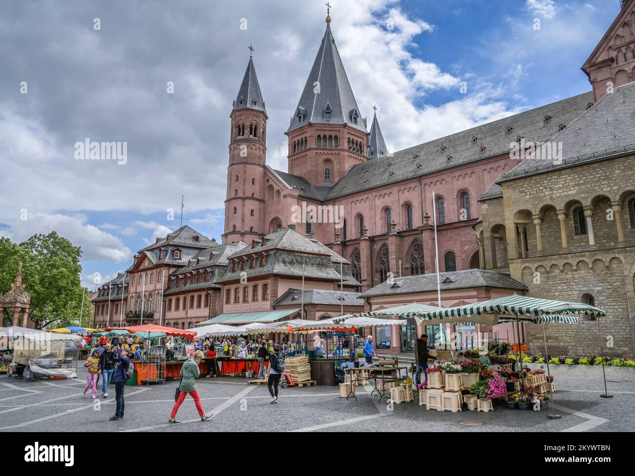 Mainzer Dom, Markt, Mainz, Rheinland-Pfalz, Deutschland Stock Photo