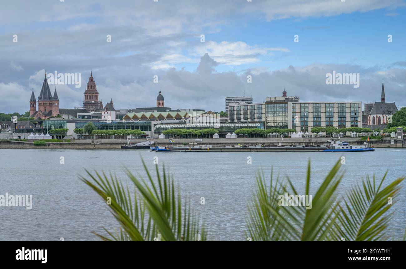 Rheinuferopromenade hi-res stock photography and images - Alamy