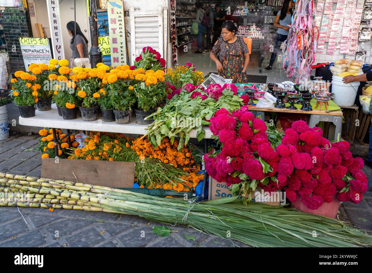 Altar de ofrendas hi-res stock photography and images - Alamy