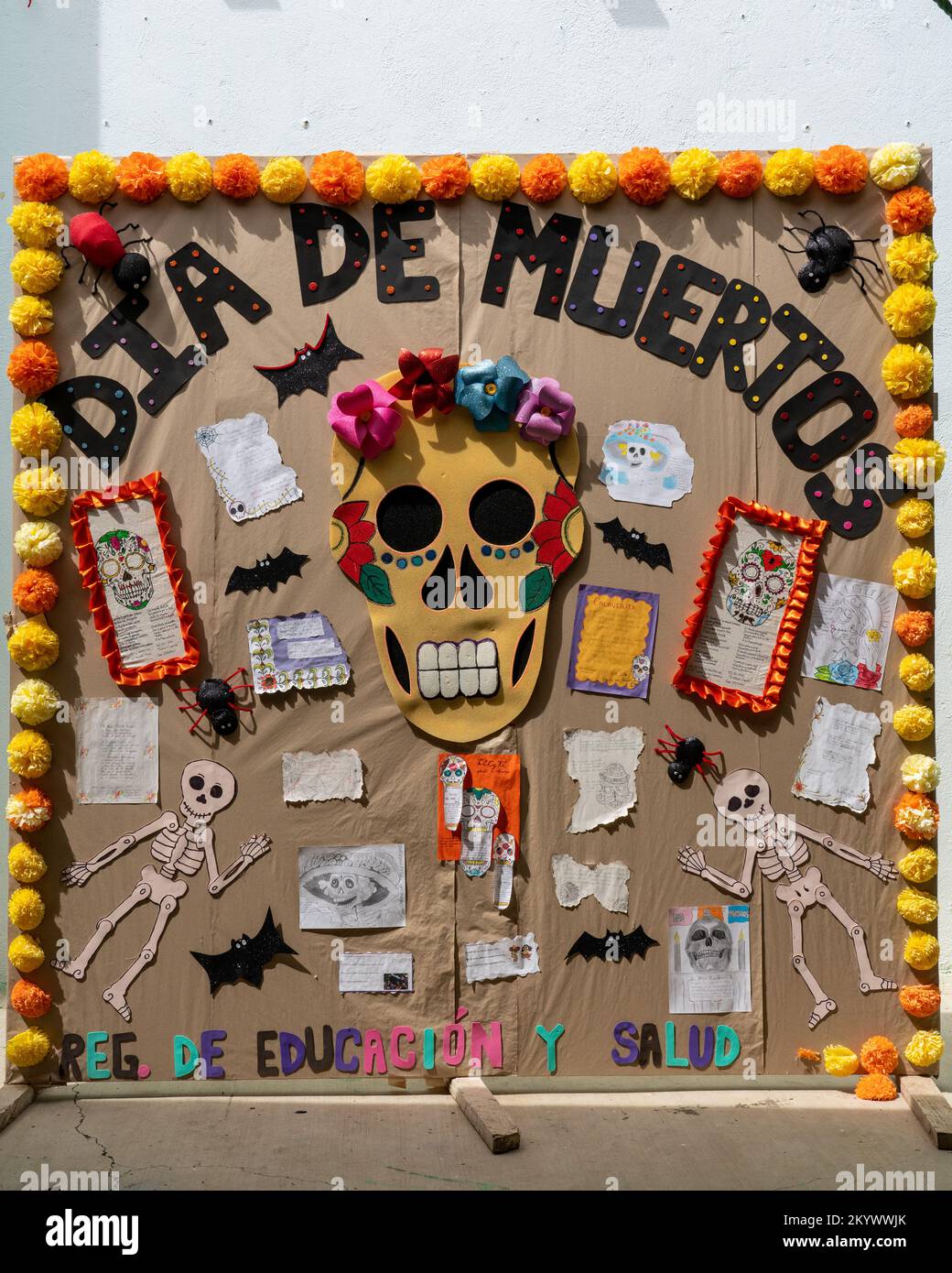 A school display for the Day of the Dead or Dia de los Muertos in Oaxaca, Mexico. Stock Photo