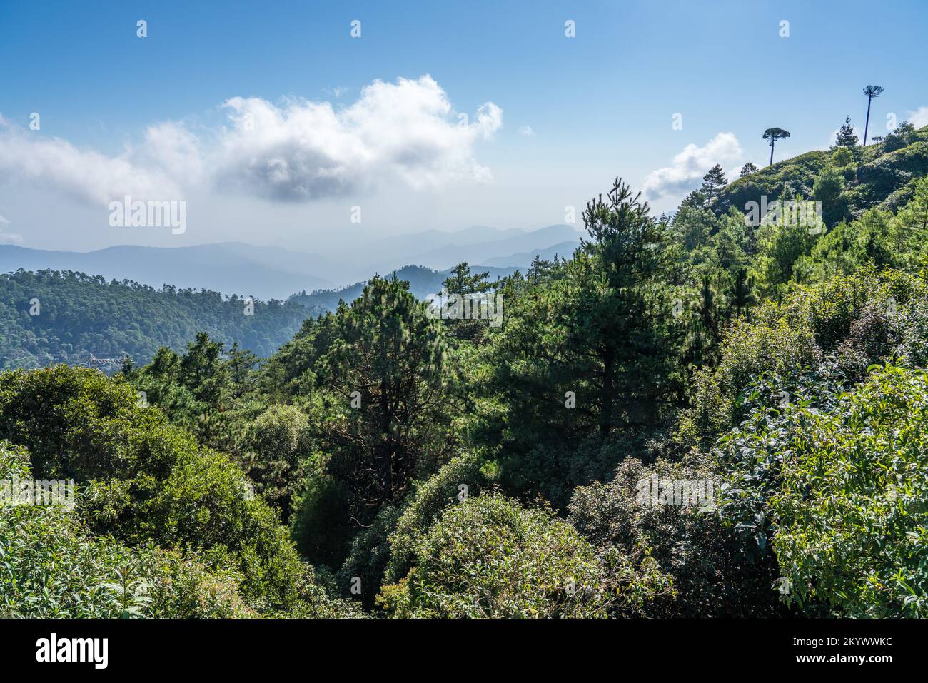 Sierra De Oaxaca Desde El Aire, Tienes Que, 40% OFF