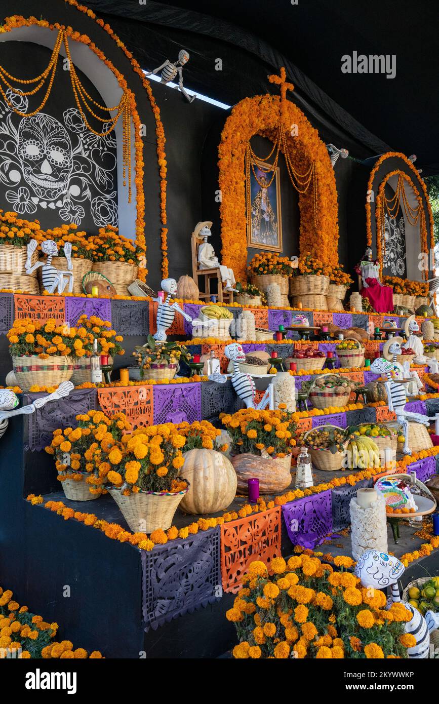 A large ofrenda in the Zocalo in front of the Metropolitan Cathedral to celebrate Day of the Dead in Oaxaca, Mexico. Stock Photo