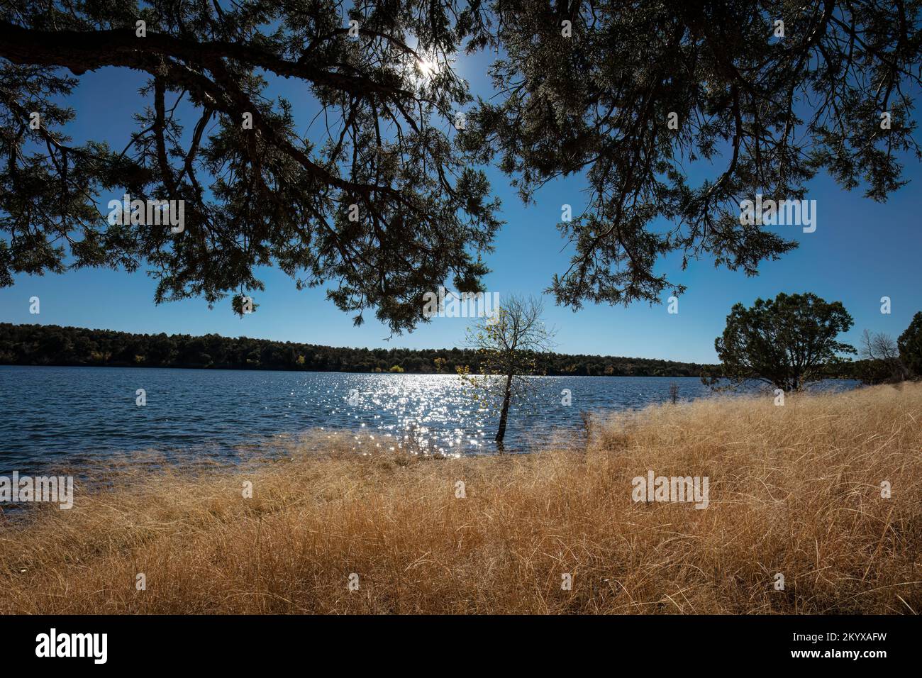 Parker canyon lake hi-res stock photography and images - Alamy