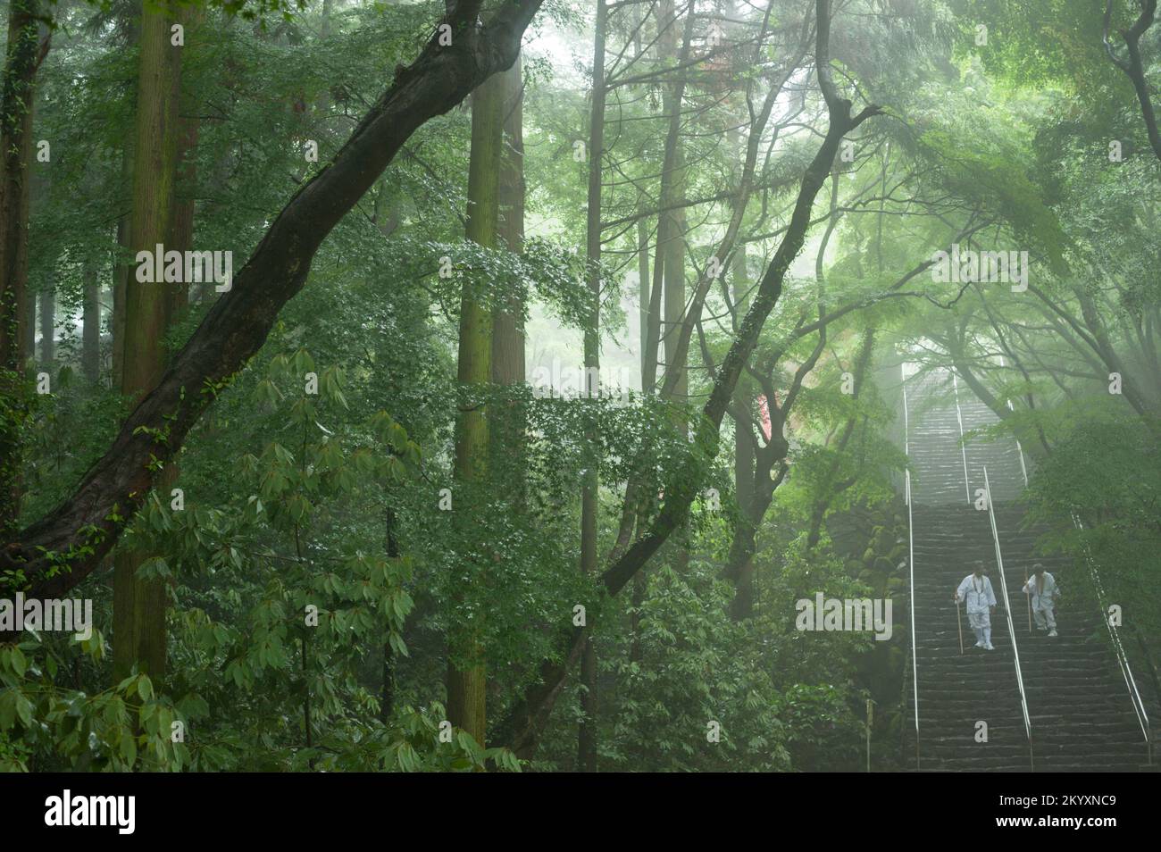 Atmospheric in the mist in the Kagawa mountains, Negoro-ji Temple is number 82 on the 88 temple pilgrimage that makes Shikoku famous. Stock Photo