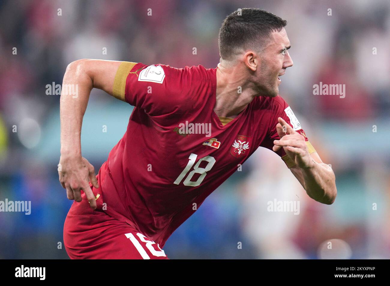 Doha, Qatar. 2nd Dec, 2022. Dusan Vlahovic of Serbia celebrates his goal during the Group G match between Serbia and Switzerland at the 2022 FIFA World Cup at Stadium 974 in Doha, Qatar, Dec. 2, 2022. Credit: Meng Dingbo/Xinhua/Alamy Live News Stock Photo
