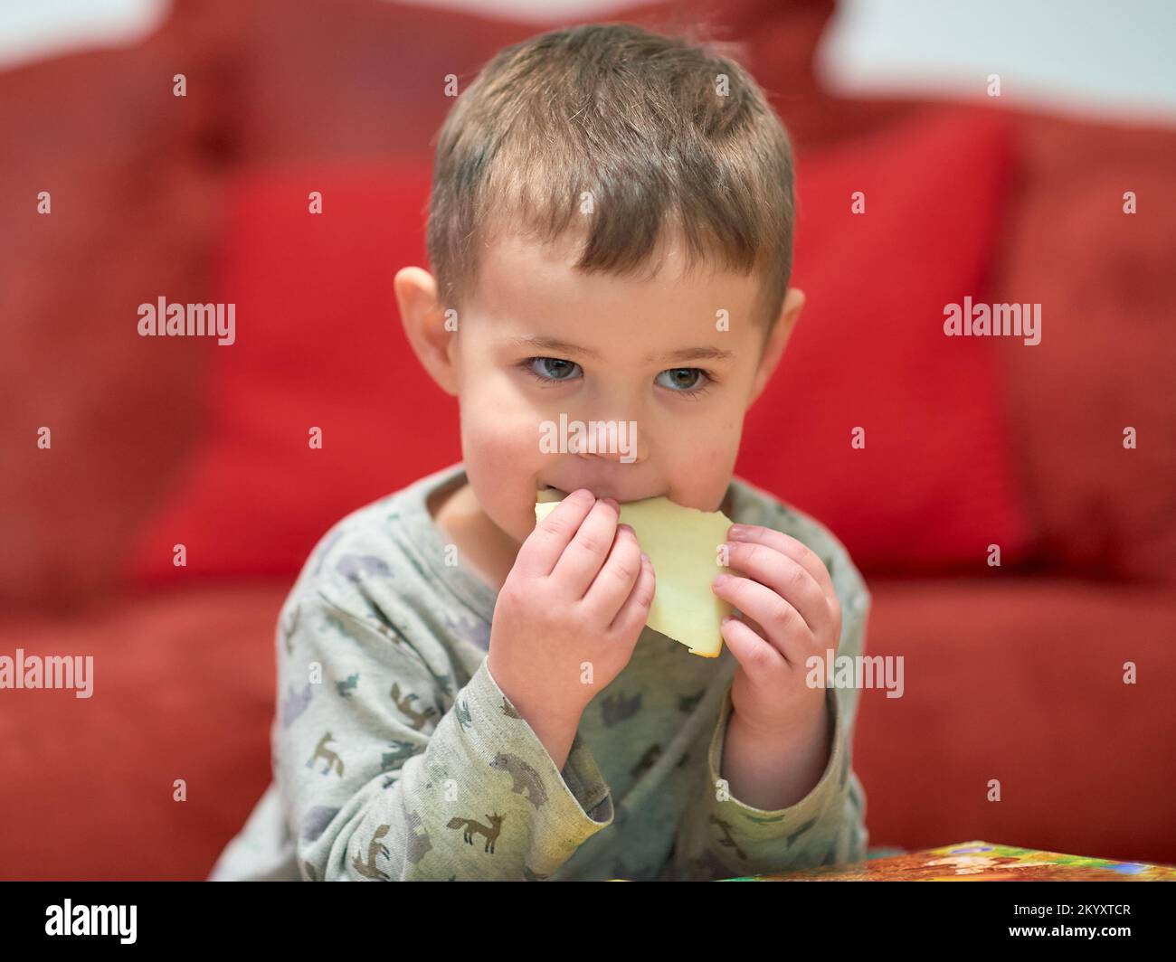 cute young boy eating cheese at home while watching tv next to the