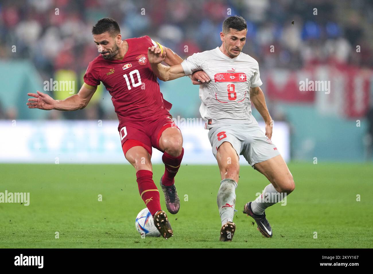 Doha, Qatar. 2nd Dec, 2022. Dusan Tadic (L) of Serbia vies with Remo Freuler of Switzerland during their Group G match at the 2022 FIFA World Cup at Stadium 974 in Doha, Qatar, Dec. 2, 2022. Credit: Zheng Huansong/Xinhua/Alamy Live News Stock Photo