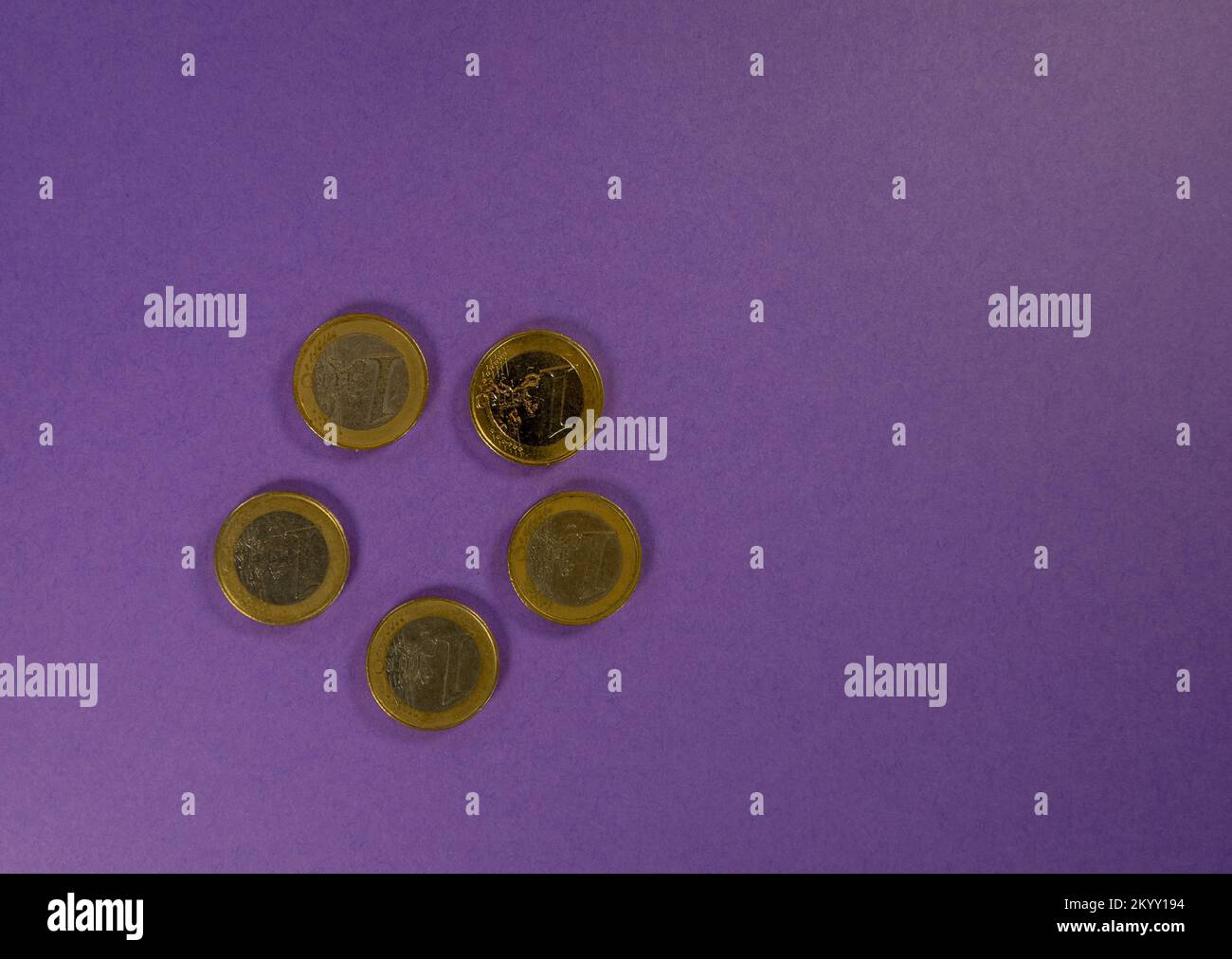 five one Euro coins heads up isolated on a purple background Stock