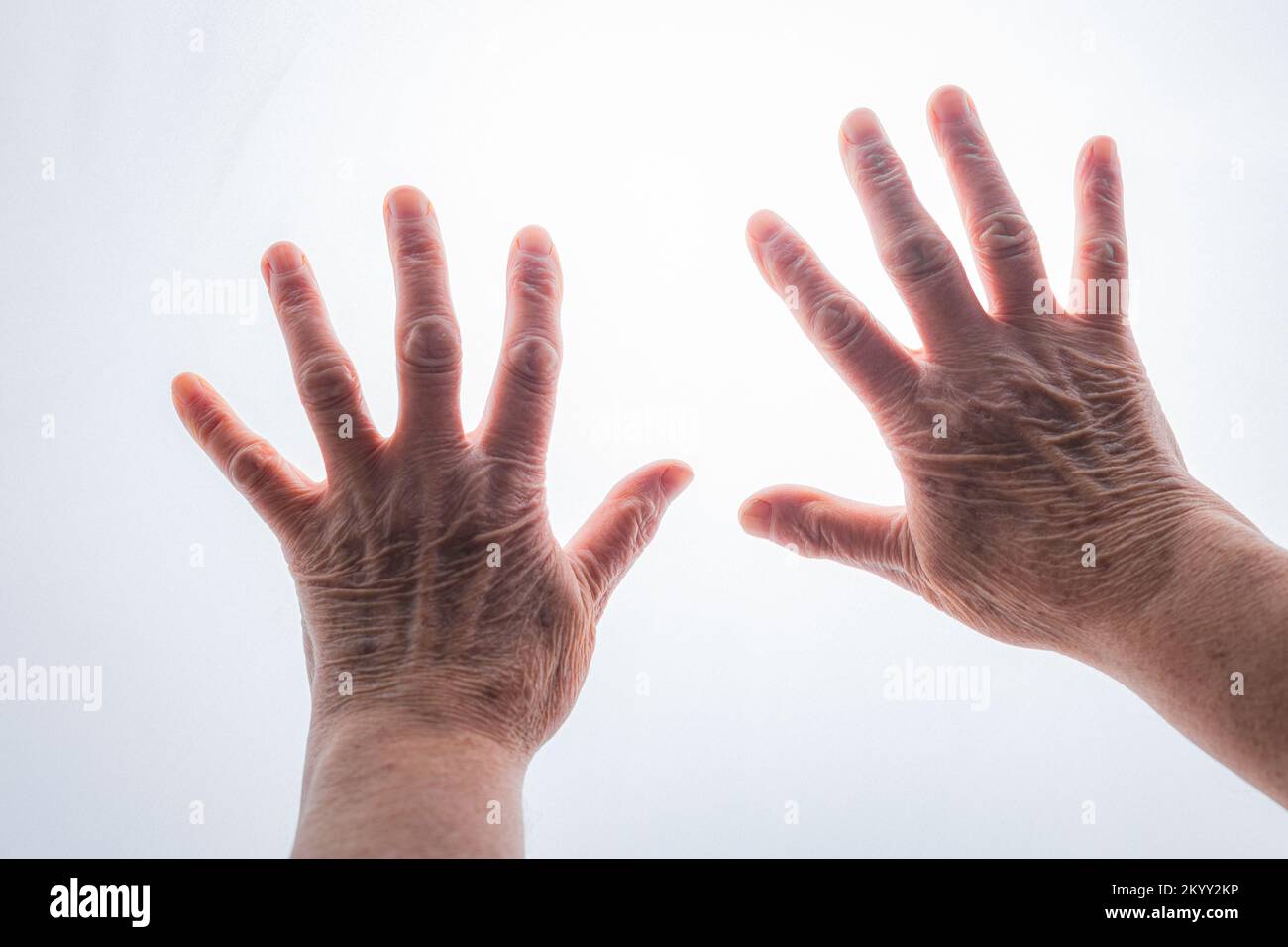 Elderly woman hands isolated on the white background Stock Photo