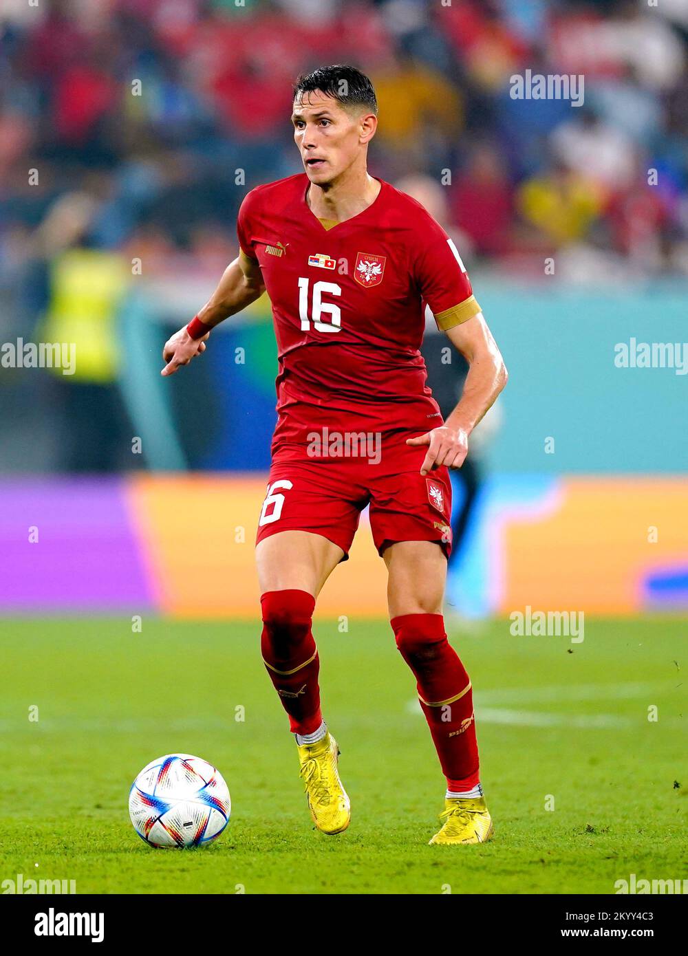 Serbia's Sasa Lukic during the FIFA World Cup Group G match at Stadium 974 in Doha, Qatar. Picture date: Friday December 2, 2022. Stock Photo