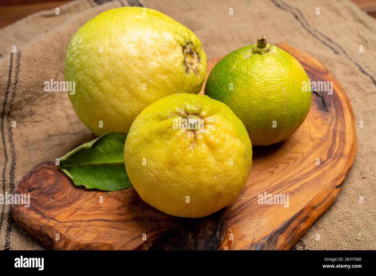 Fresh ripe bergamot orange fruits, fragrant citrus used in earl grey