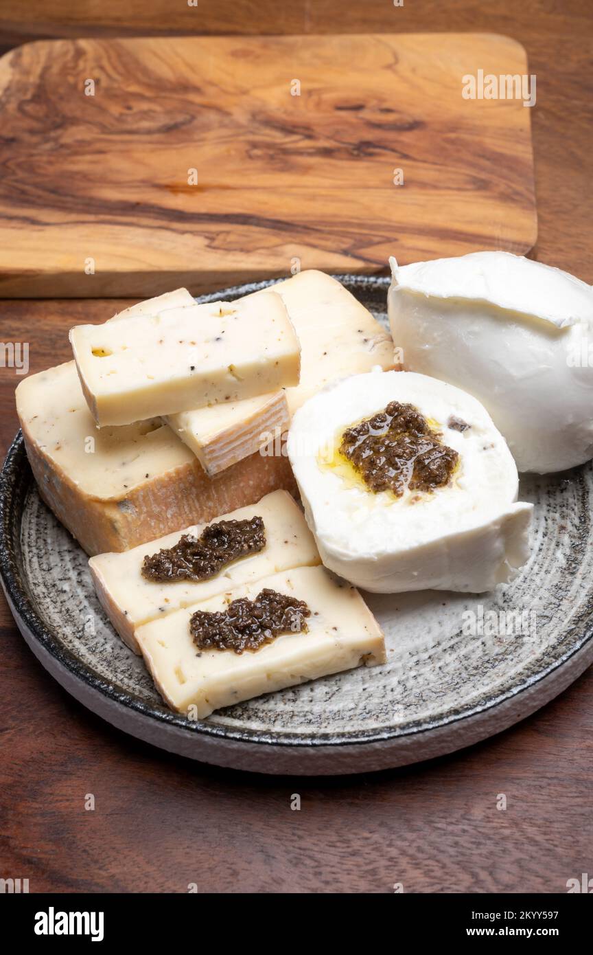 Italian cheese collection, yellow taleggio cheese and white mozzarella