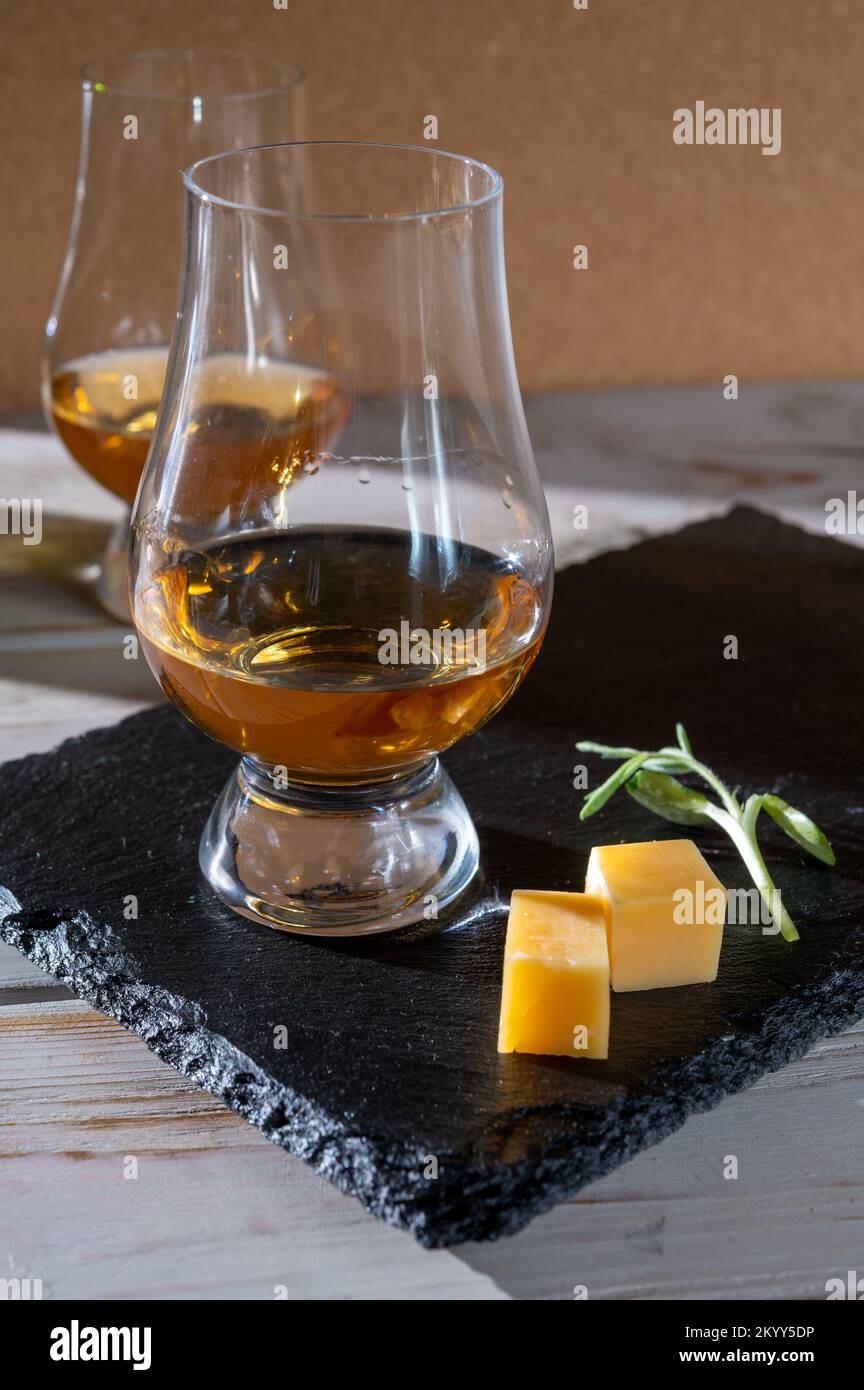 Scotch single malt and blended whisky tasting on distillery in Scotland