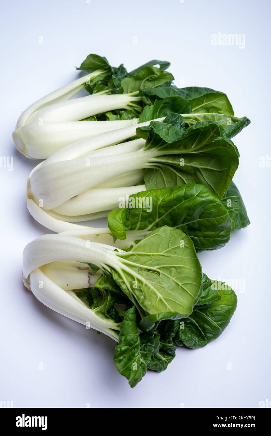 Young fresh organic white bok choy or bak choi Chinese cabbage ready to