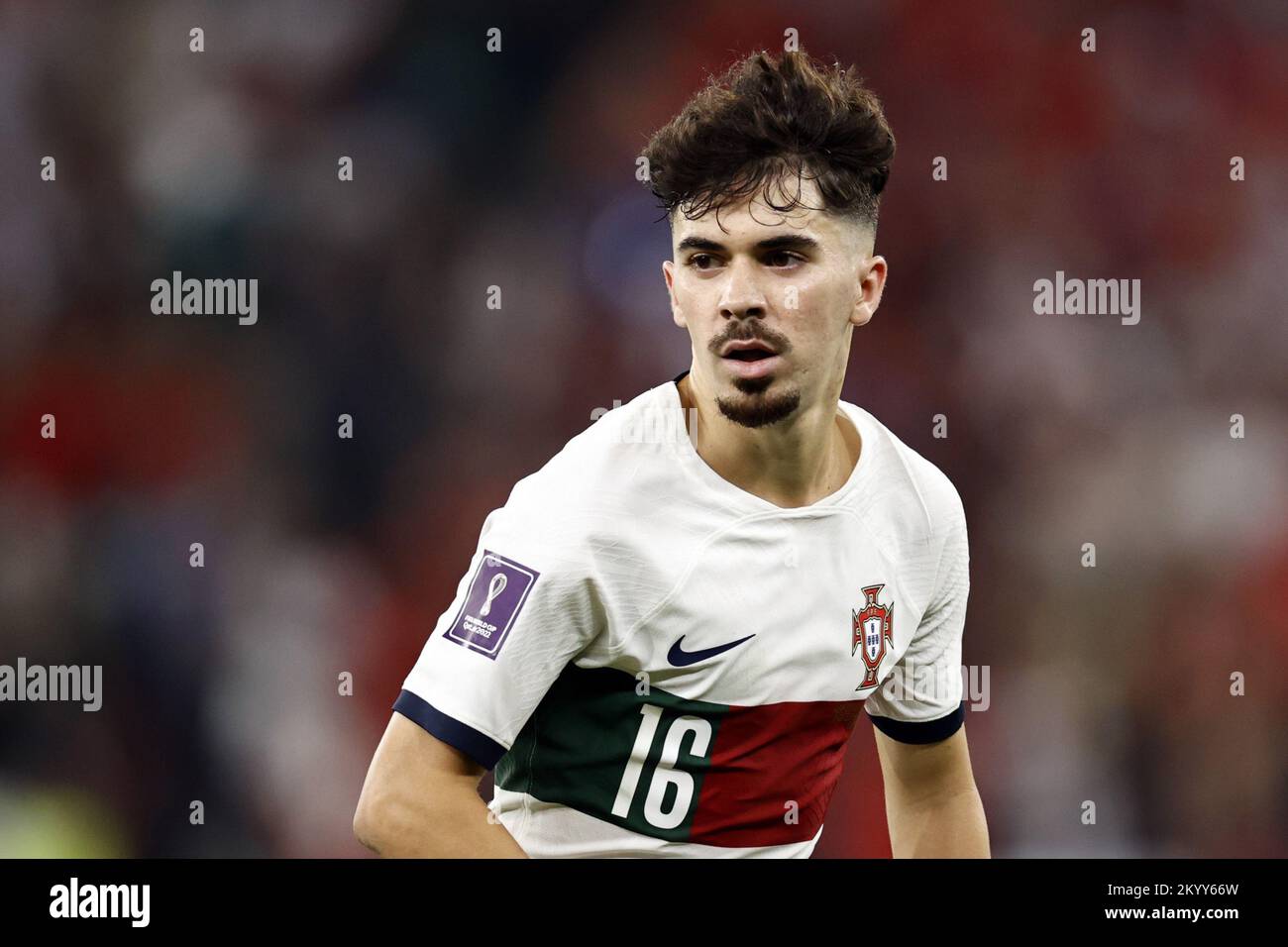 qatar-02nd-dec-2022-doha-vitinha-of-portugal-during-the-fifa-world