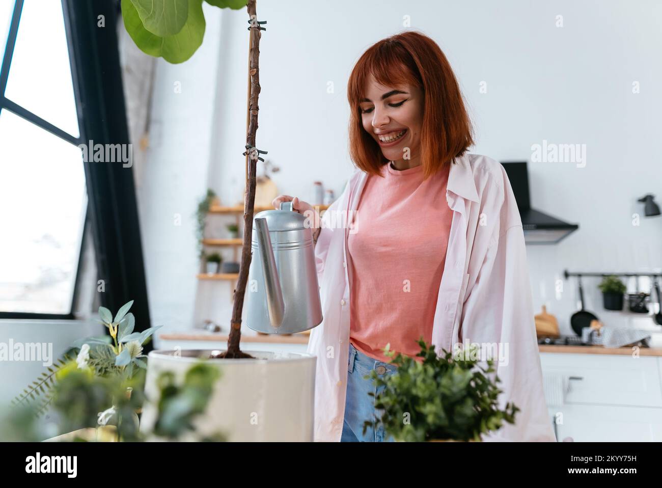 Young woman pouring water in flower pot with indoor houseplant from watering can. Stock Photo