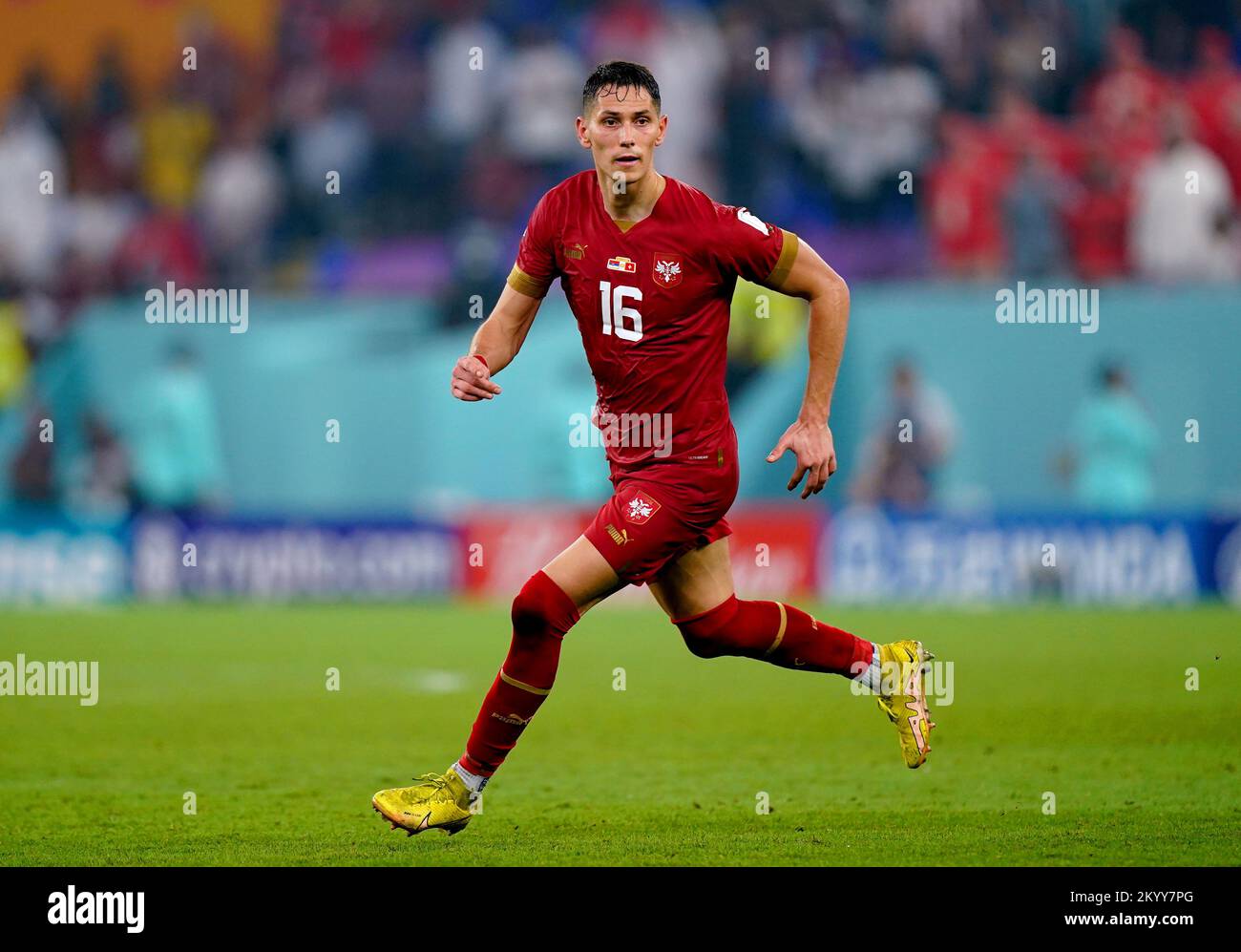 Serbia's Sasa Lukic during the FIFA World Cup Group G match at Stadium 974 in Doha, Qatar. Picture date: Friday December 2, 2022. Stock Photo