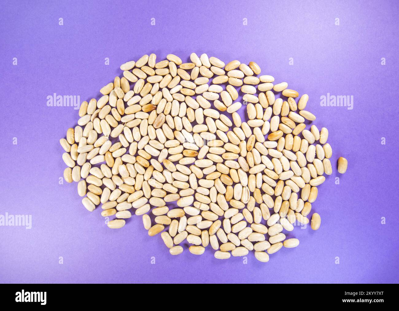 used (for blind baking) navy bean, haricot, pearl haricot bean isolated on a purple background Stock Photo