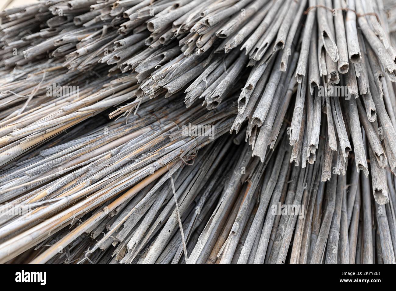 cut reeds for beach umbrella gray color background texture Stock Photo ...