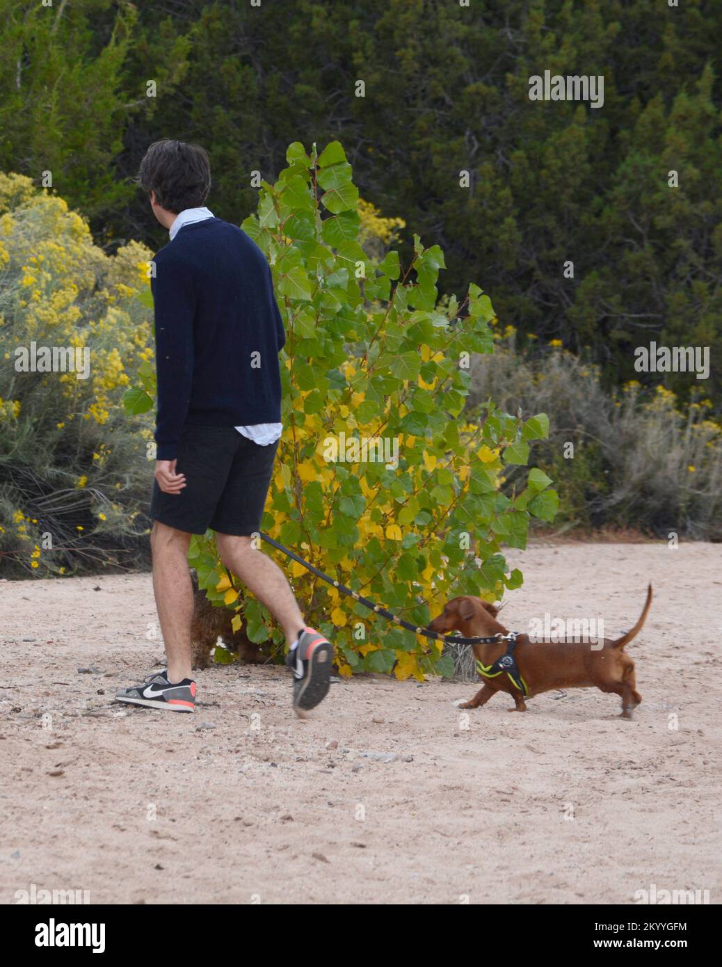A man walks his two pet dogs in an arroyo in Santa Fe, New Mexico. Stock Photo