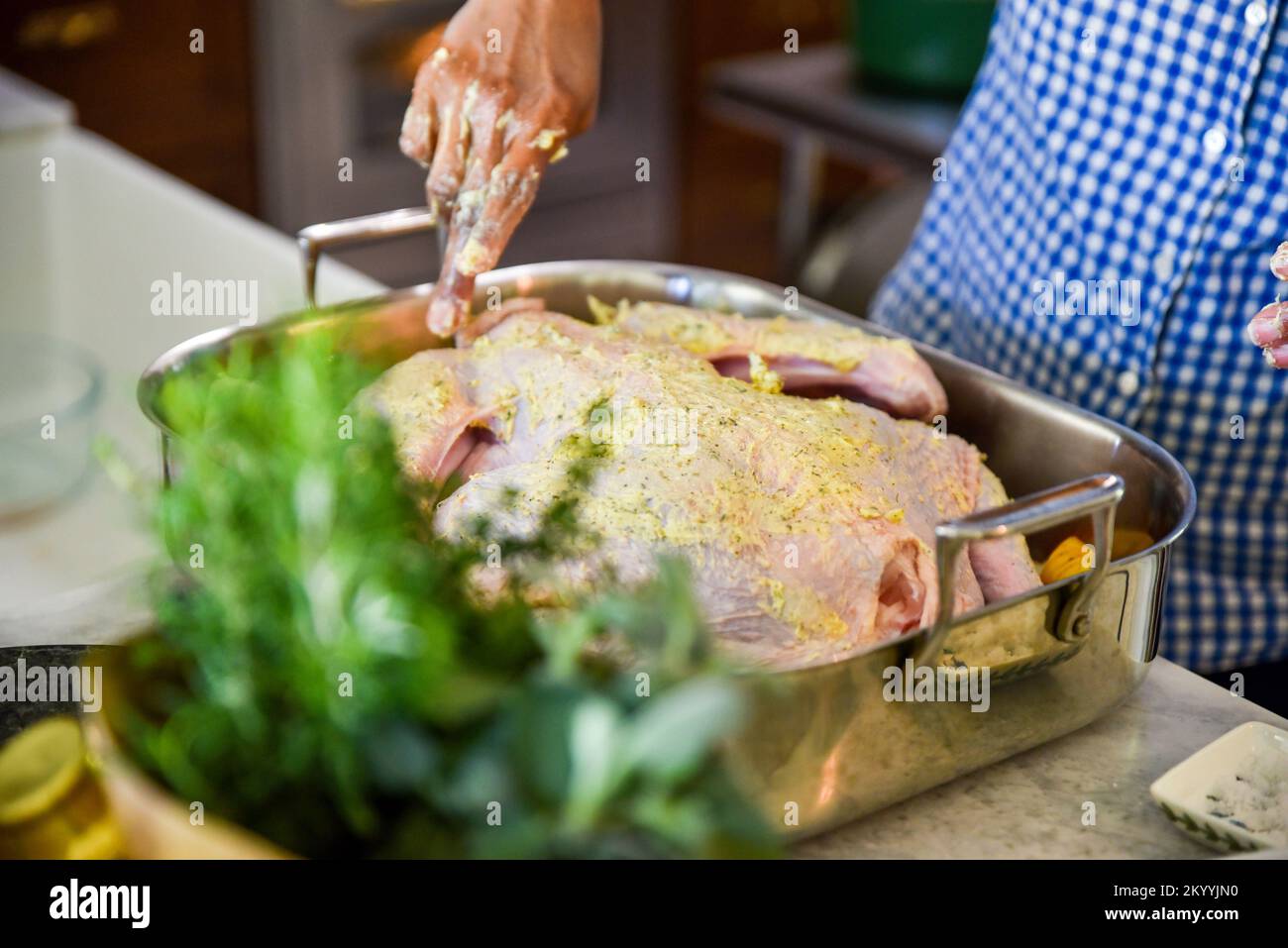 Where to go for thanksgiving in texas