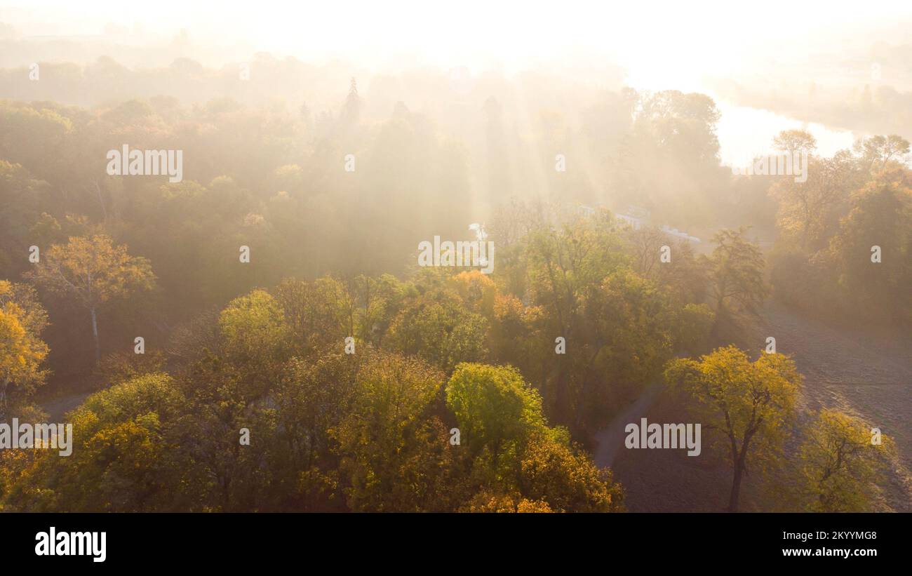 Flight over the trees, glade, river in the park on a sunny autumn day. Aerial drone view. Autumn, fall season. Sunbeams. Beautiful natural background. Pink sun glare. Sunlight, shining sunbeams rays Stock Photo