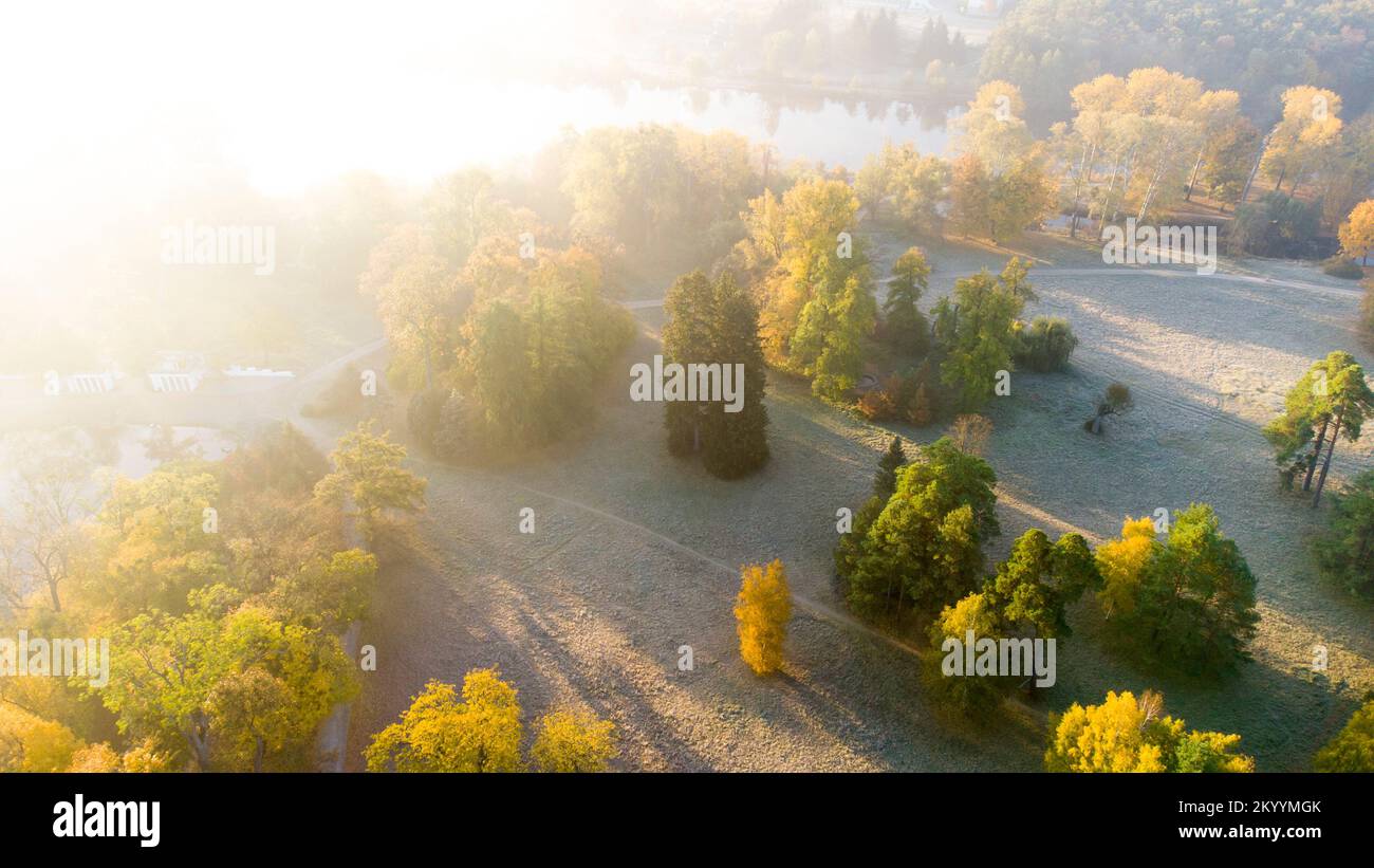 Flight over the trees, glade, river in the park on a sunny autumn day. Aerial drone view. Autumn, fall season. Sunbeams. Beautiful natural background. Pink sun glare. Sunlight, shining sunbeams rays Stock Photo
