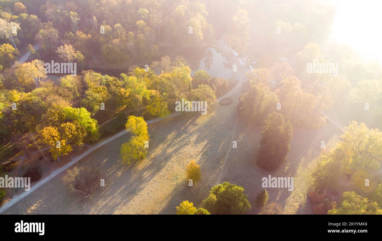 Aerial flying over trees with yellow leaves, meadow, dirt road with morning mist an autumn sunny morning in park. Bright sunlight, shining sunbeams rays, sun overexposure. Beautiful natural background Stock Photo