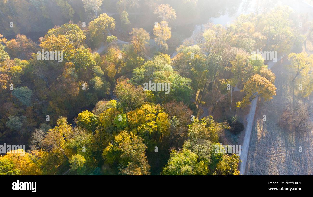 Aerial flying over trees with yellow leaves, meadow, dirt road with morning mist an autumn sunny morning in park. Bright sunlight, shining sunbeams rays, sun overexposure. Beautiful natural background Stock Photo