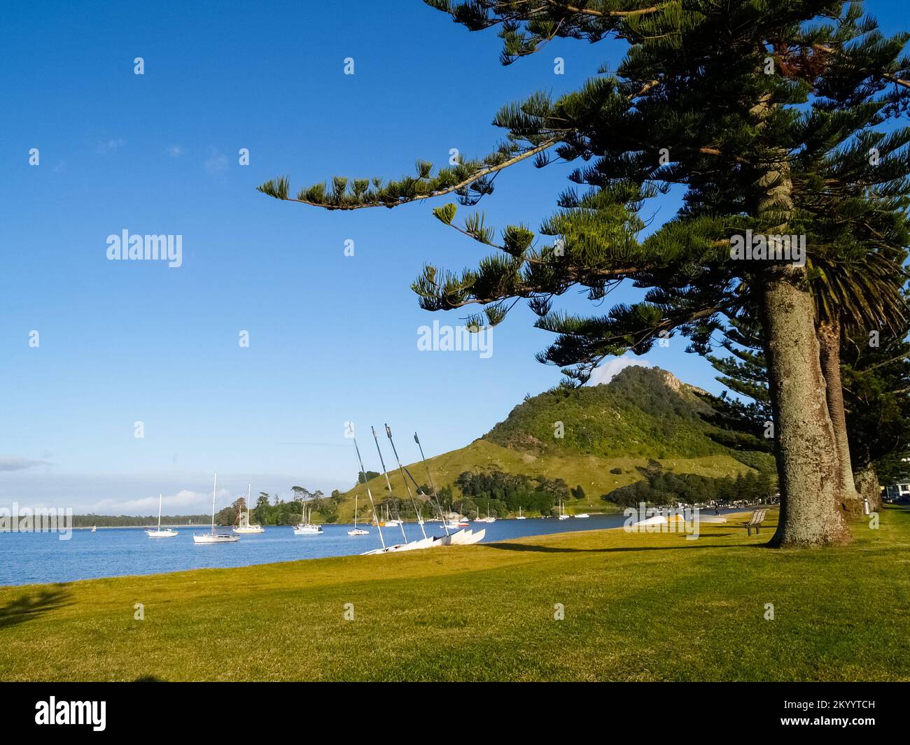 Pilot bay mount maunganui hires stock photography and images Alamy