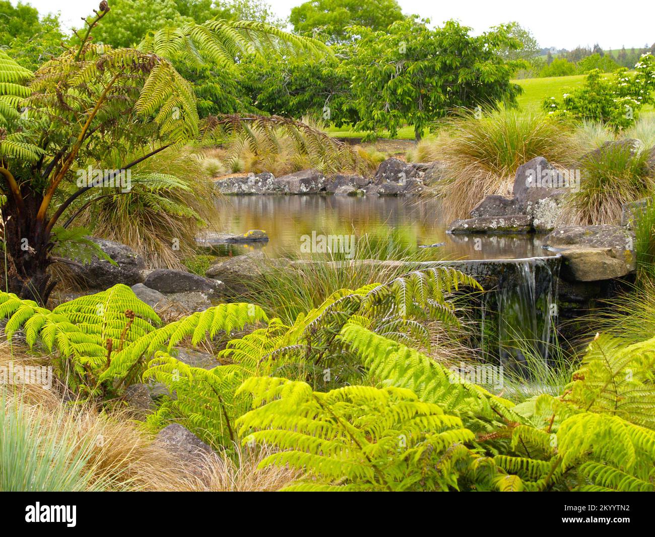 Garden pond set in rocks and greenery with waterfall Stock Photo - Alamy