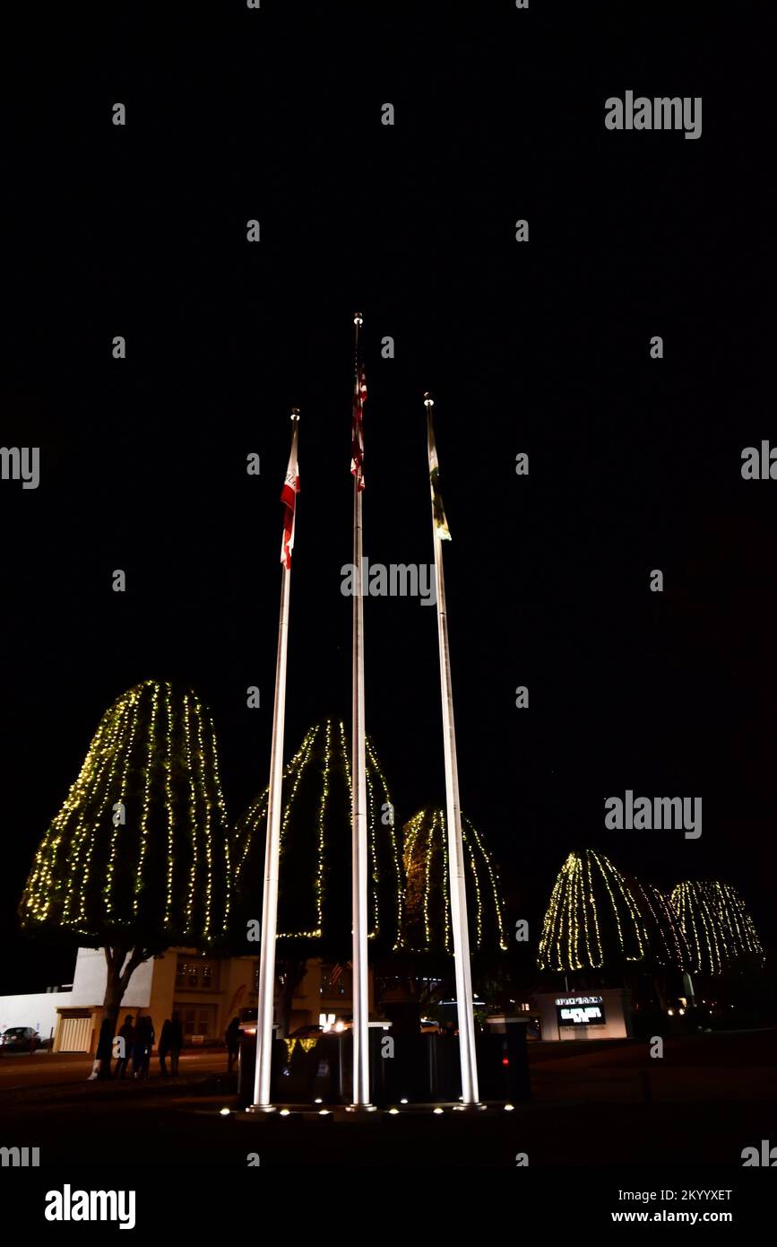 Rows of tall ficus trees lining a downtown city street with Christmas lights,  lighting the city at night Stock Photo