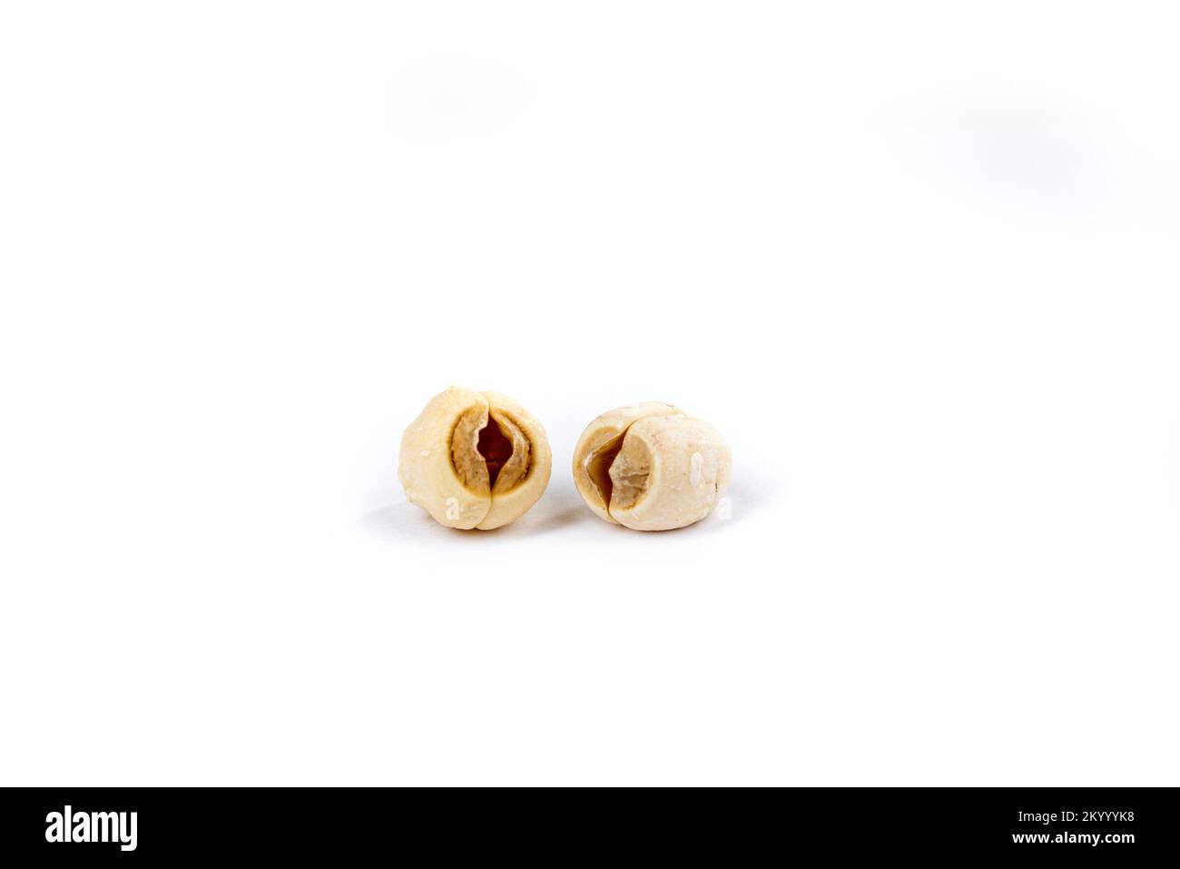 Two lotus seeds isolated over white background Stock Photo Alamy