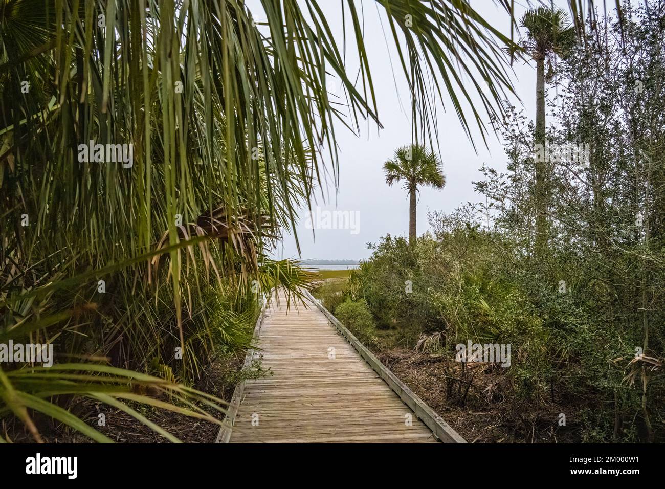 Tolomato River Boardwalk on a coastal salt marsh island along the