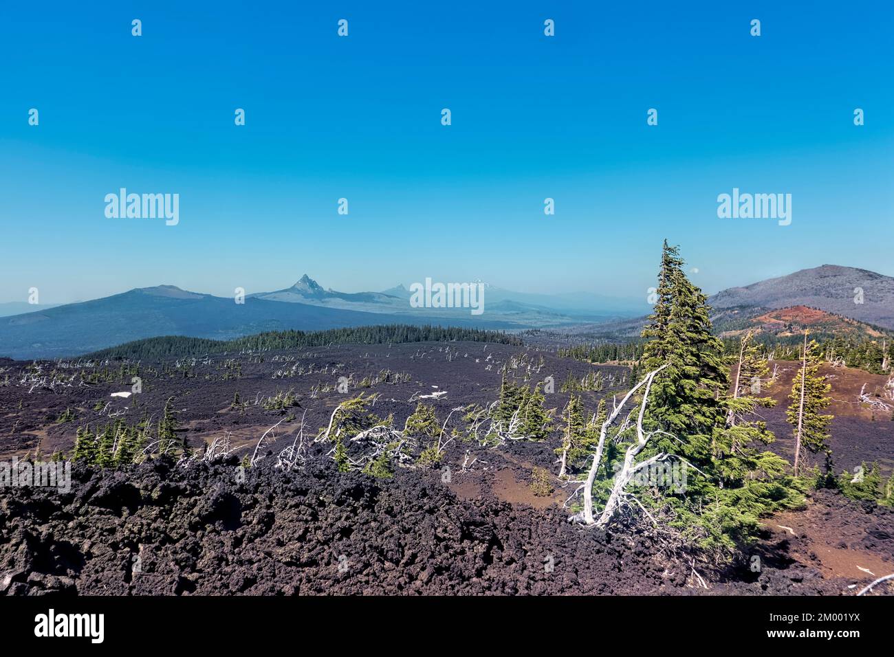 Hiking through lava fields, Sisters Wilderness, Pacific Crest Trail, Oregon, USA Stock Photo