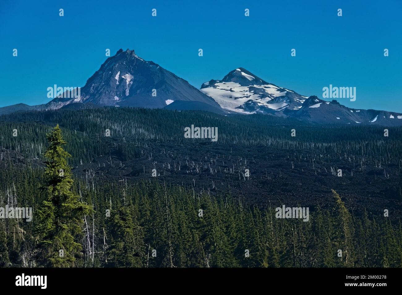 View of the Sisters peaks, Pacific Crest Trail, Oregon, USA Stock Photo ...