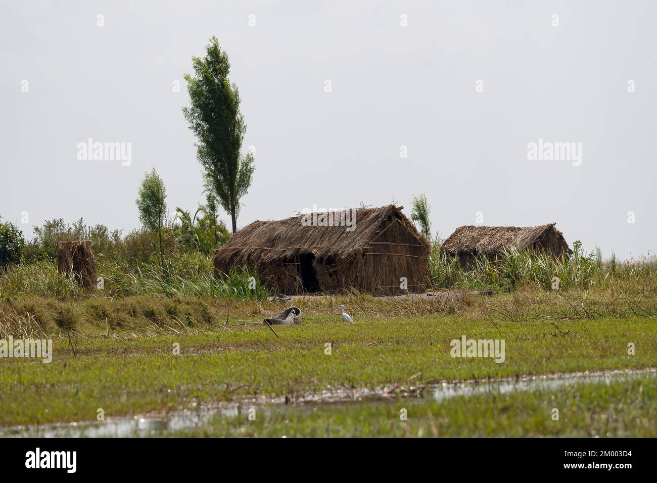 Reed huts, canoe, dugout canoe, banana boat, Bangweulu swamps, Zambia, Africa Stock Photo
