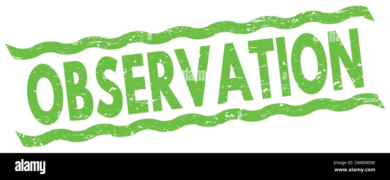 Observation text written on green lines stamp sign stock photo alamy