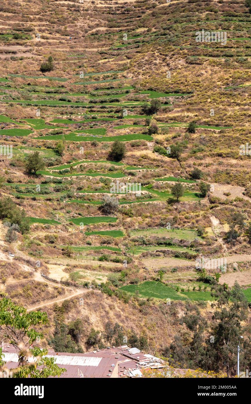 Terraces, terraced fields on the mountainside, San Miguel de Viso ...