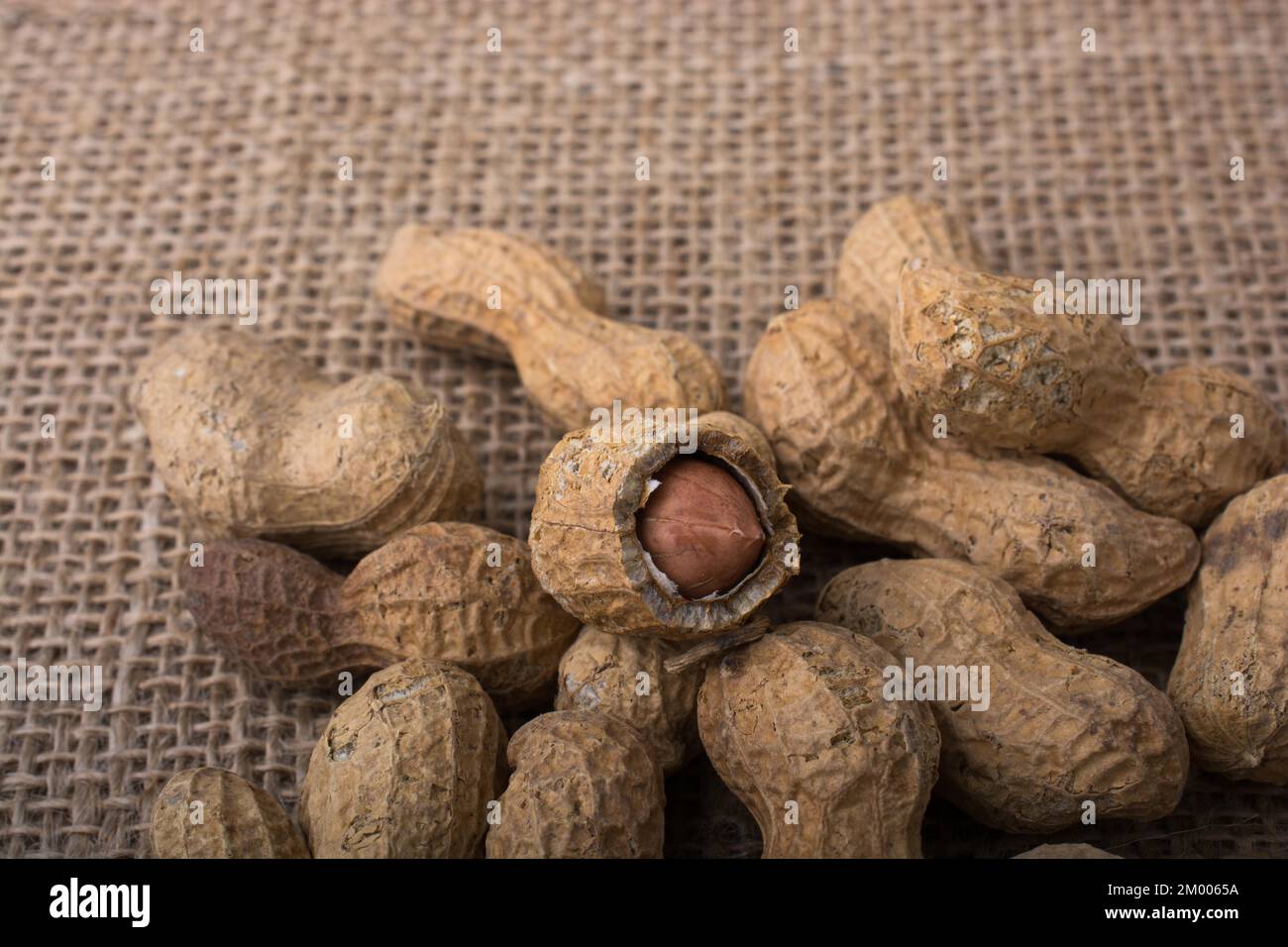 Peanuts with shell on linen canvas background Stock Photo Alamy