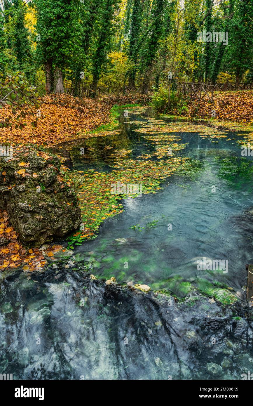 Leaves of the warm autumn color fallen into a puddle of water. Autumn landscape of a wood. Raiano, L'Aquila Province, Abruzzo, Italy, Europe Stock Photo