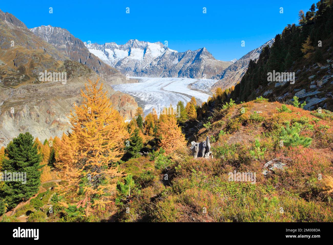 Great Aletsch Glacier and Wannenhörner, Valais, Switzerland, Europe Stock Photo