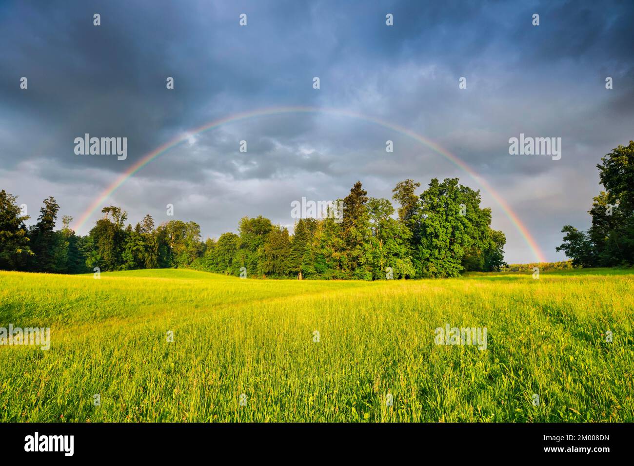 Evening thunderstorm atmosphere with double rainbow over lush green mixed forest, in the Zurich Oberland, Zurich, Switzerland, Europe Stock Photo