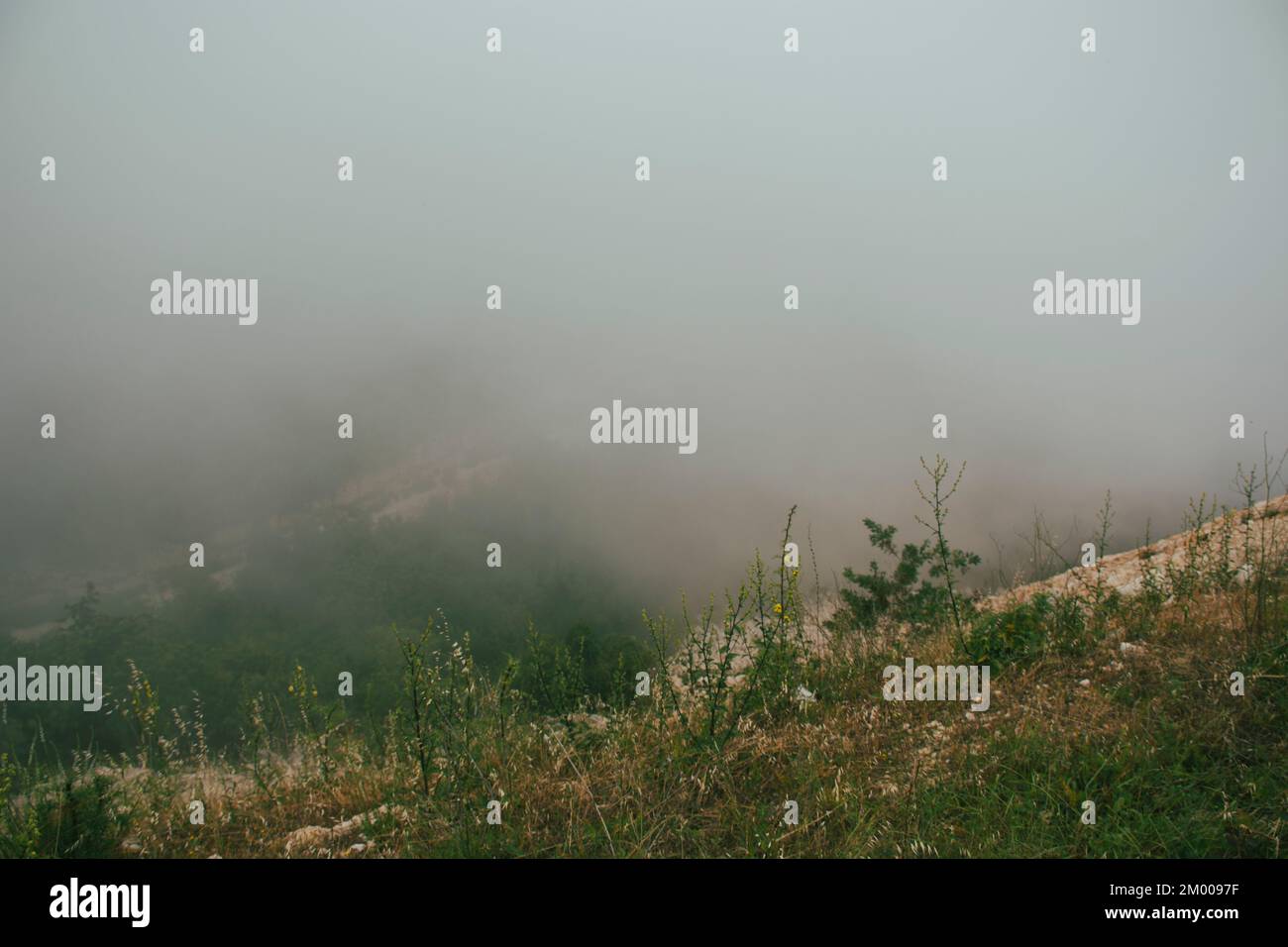 Fog mist grass hi-res stock photography and images - Alamy