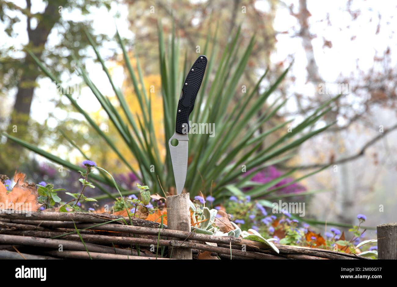 Folding knife gray cutting stainless blade black handle green grass blue flowers wood macro background Stock Photo