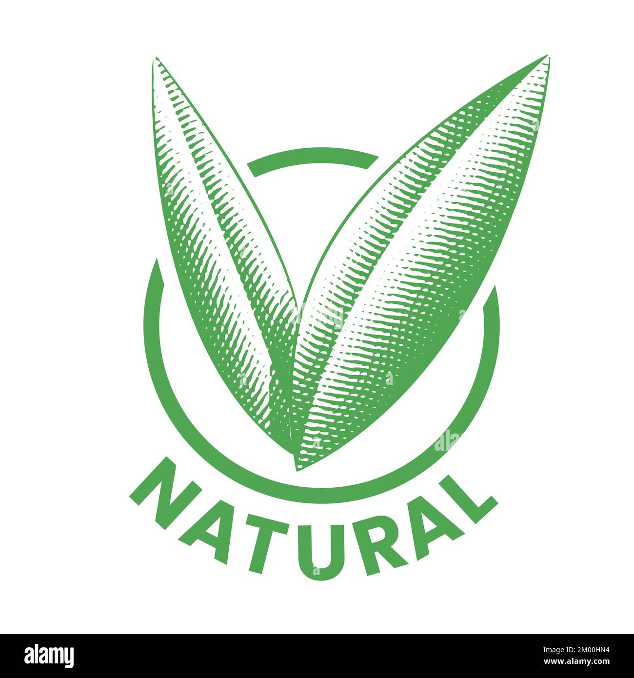 Natural Round Icon with Engraved Green Leaves isolated on a White ...