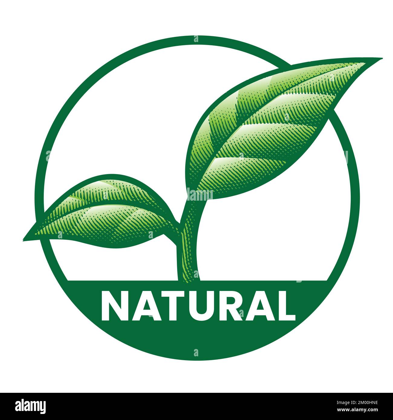 Natural Round Icon with 2 Green Leaves isolated on a White Background ...